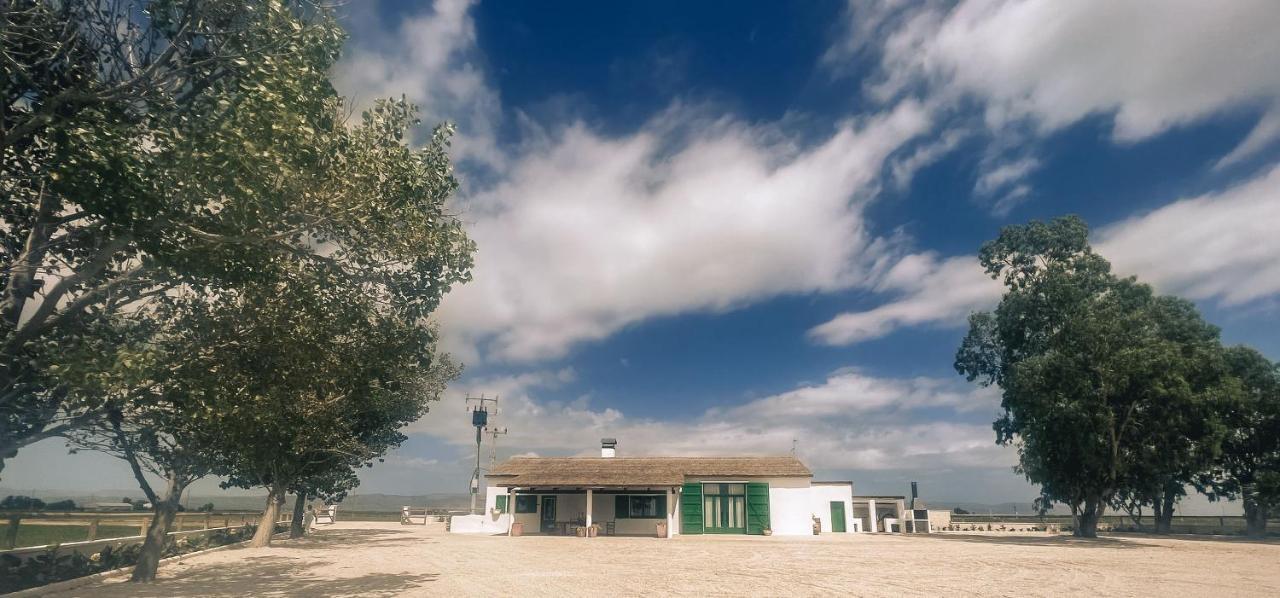 Masia Blanca Deltebre Exterior photo