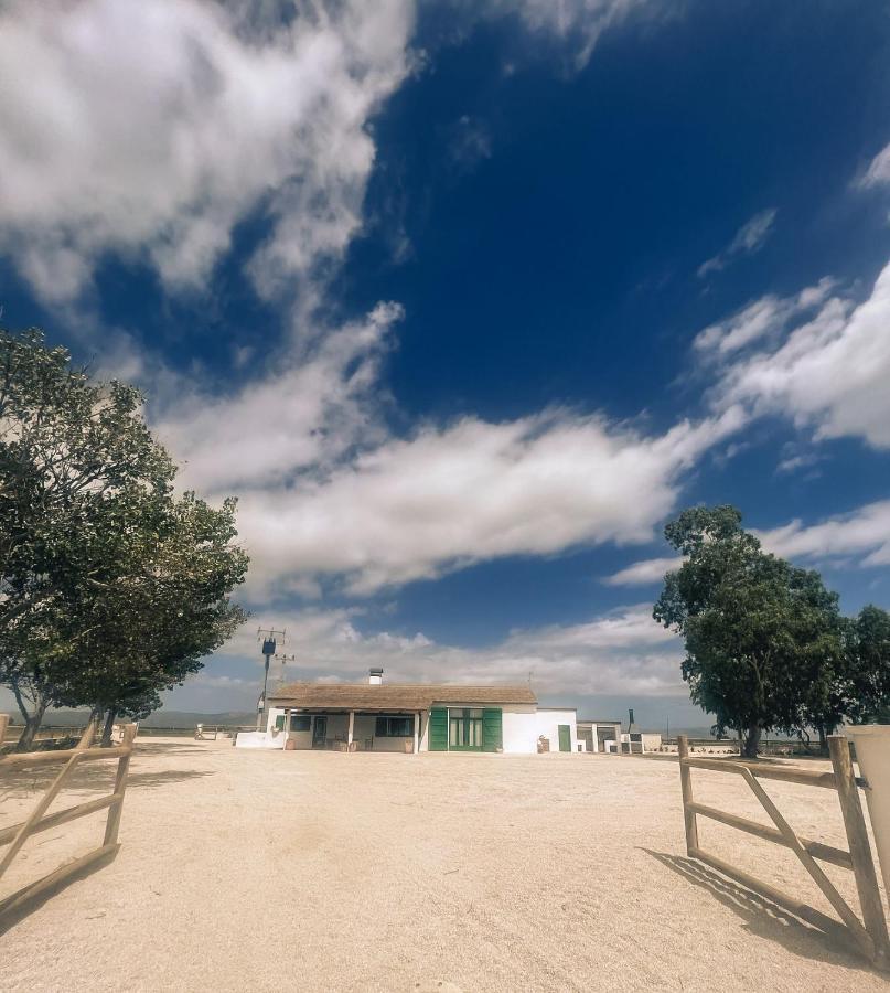 Masia Blanca Deltebre Exterior photo