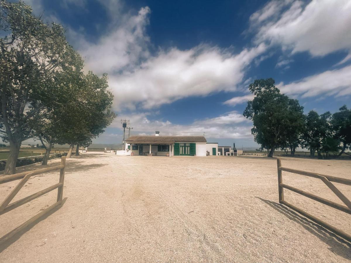 Masia Blanca Deltebre Exterior photo